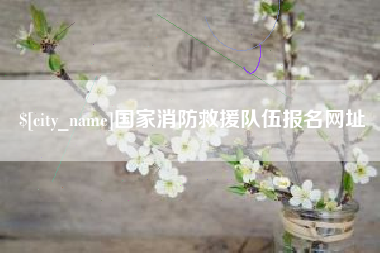赵县国家消防救援队伍报名网址