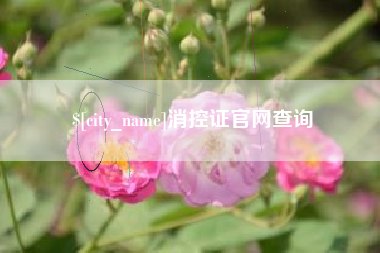 赵县消控证官网查询