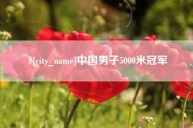 赵县中国男子5000米冠军