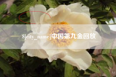 赵县中国第九金回放