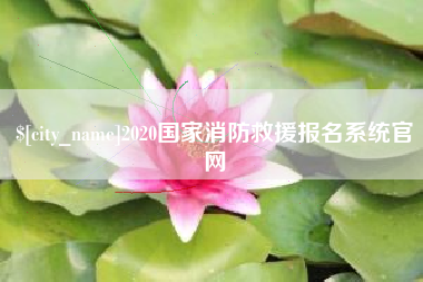 赵县2020国家消防救援报名系统官网