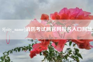赵县消防考试网官网报名入口网址