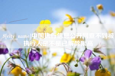 赵县中国执行信息公开网查不到被执行人是不是已解除限高