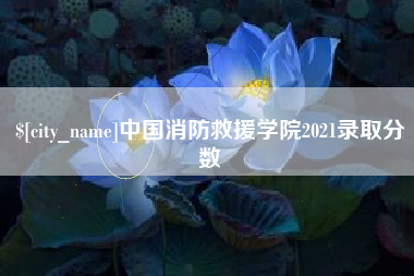 赵县中国消防救援学院2021录取分数