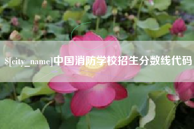 赵县中国消防学校招生分数线代码