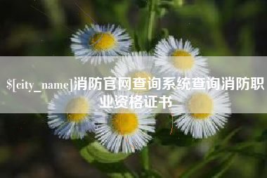 赵县消防官网查询系统查询消防职业资格证书