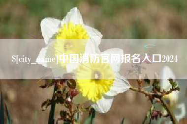 赵县中国消防官网报名入口2024