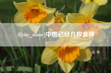 赵县中国已经几枚金牌