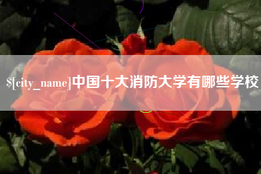 赵县中国十大消防大学有哪些学校