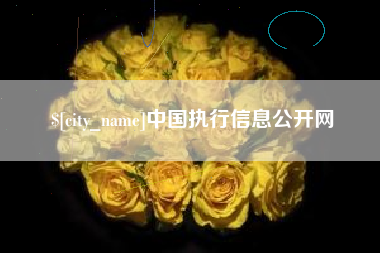赵县中国执行信息公开网