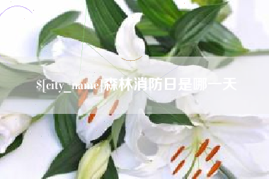 赵县森林消防日是哪一天