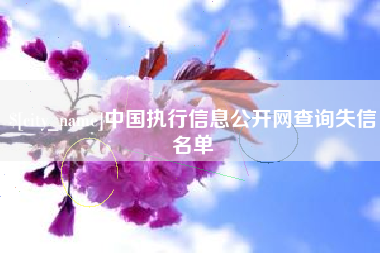 赵县中国执行信息公开网查询失信名单