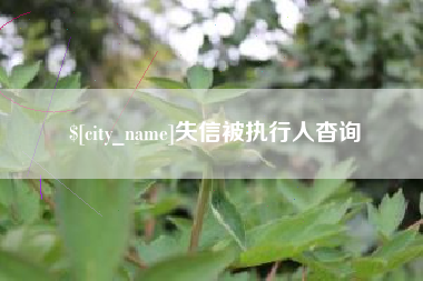赵县失信被执行人杳询