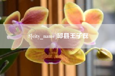 赵县邱县王子磊