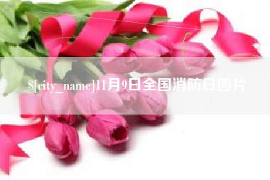 赵县11月9日全国消防日图片