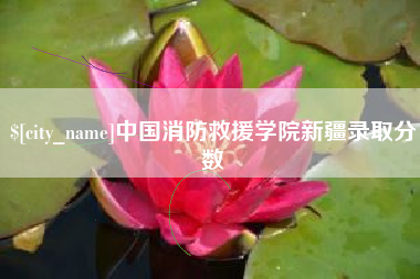赵县中国消防救援学院新疆录取分数