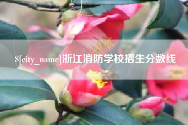 赵县浙江消防学校招生分数线