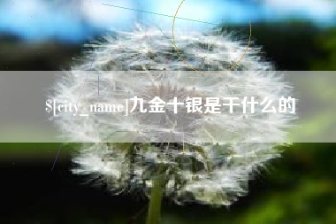 赵县九金十银是干什么的