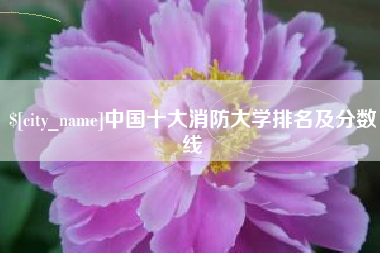 赵县中国十大消防大学排名及分数线