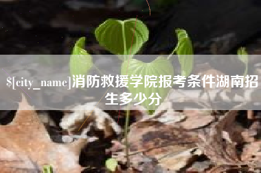 赵县消防救援学院报考条件湖南招生多少分