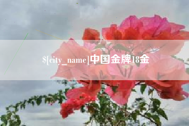 赵县中国金牌18金
