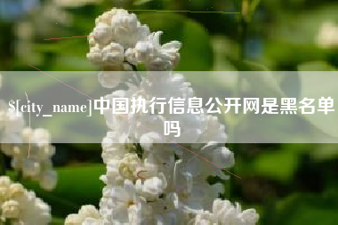 赵县中国执行信息公开网是黑名单吗