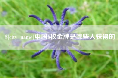 赵县中国6枚金牌是哪些人获得的