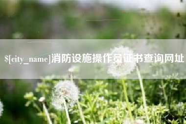 赵县消防设施操作员证书查询网址