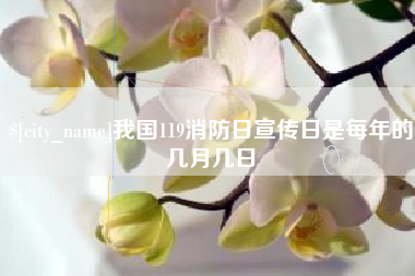 赵县我国119消防日宣传日是每年的几月几日