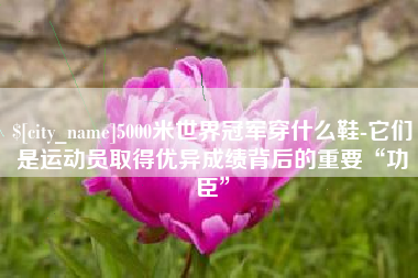 赵县5000米世界冠军穿什么鞋-它们是运动员取得优异成绩背后的重要“功臣”