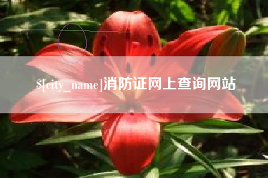 赵县消防证网上查询网站
