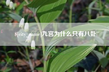 赵县九宫为什么只有八卦
