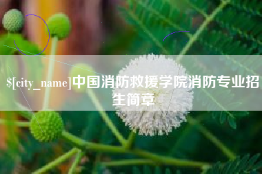 赵县中国消防救援学院消防专业招生简章