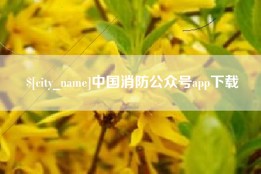 赵县中国消防公众号app下载