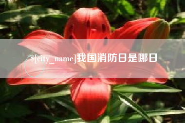 赵县我国消防日是哪日