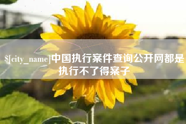 赵县中国执行案件查询公开网都是执行不了得案子