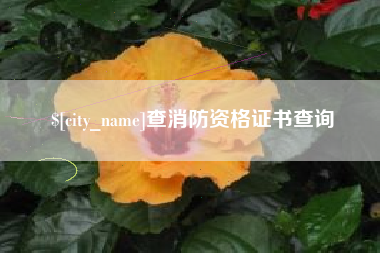 赵县查消防资格证书查询