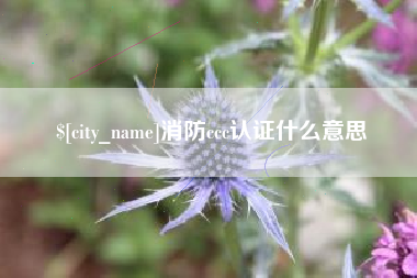 赵县消防ccc认证什么意思