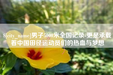 赵县男子5000米全国记录-更是承载着中国田径运动员们的热血与梦想