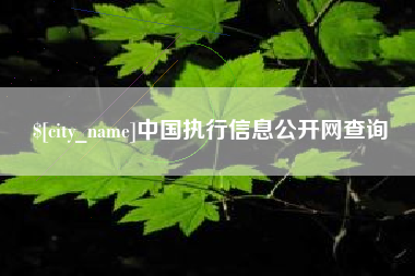 赵县中国执行信息公开网查询
