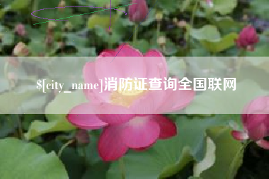 赵县消防证查询全国联网