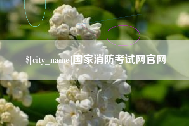 赵县国家消防考试网官网