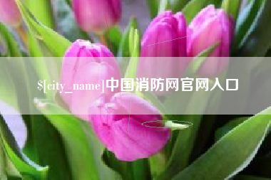 赵县中国消防网官网入口