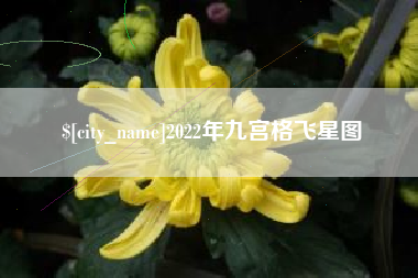 赵县2022年九宫格飞星图