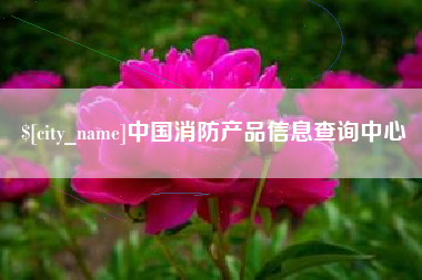 赵县中国消防产品信息查询中心