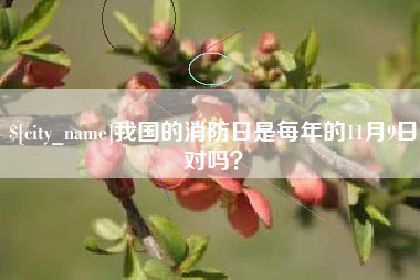赵县我国的消防日是每年的11月9日对吗？