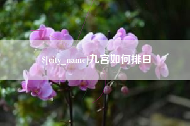 赵县九宫如何排日