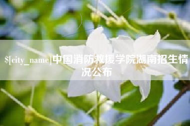 赵县中国消防救援学院湖南招生情况公布