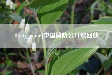 赵县中国消防公开课回放