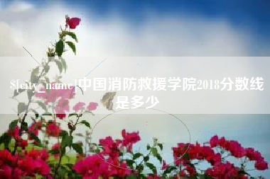 赵县中国消防救援学院2018分数线是多少